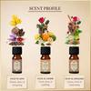 Arabian Oudh Diffuser Oil Set, Essential Oils by Dukhni | 3 x 10ml Oud Oil Gift Set for diffuser & humidifier | 100% Pure Islmaic Oils | Relax with home aromatherapy, for stress relief and massage view 2