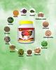 VISHNU SUGAR NASHAK Powder | 876 Gm | Diabetes Care |Helps Manage Blood Sugar |Diabetes | Ayurvedic Blend for Balanced Blood Sugar Management Natural | Pack of 2 view 3