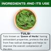 Saara HERBAL FRESH Tulsi Leaf Powder, 150g, Holy Basil Leaf Powder, Tulasi, Manjari, Krishna Tulsi, Trittavu Powder, 150g view 2