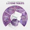 Ambrosial L-lysine | High Strength L-lysine tablets 500mg | Immune Support & Supports Collagen Synthesis | Essential Amino Acids for Active Lifestyle (Pack of 1-120 Tablets) view 3