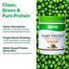 OZiva Bioactive Plant Protein (Mango) | 25g Protein,5.5 BCAA| Pea Isolate| Plant based Protein Powder for Women & Men | Essential Amino Acids| Vegan Protein supplement, Sugar free, 500g (Pack of 2) view 4