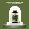 Sowell Giloy Supplement - Pure Extract Capsules for Immune Support, Detox, and Digestion - Ayurvedic Herbal Formula - 60 Capsules view 3