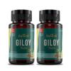 Saptarishi Giloy Tablets | Pure Giloy Leaf Extract | Blood Purifier, Antioxidant, Immune Support | Pack of 2 (72 Tablets Each) view 1