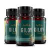 Saptarishi Giloy Tablets | Pure Giloy Leaf Extract | Blood Purifier, Antioxidant, Immune Support | Pack of 3 (72 Tablets Each) view 1