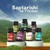 Saptarishi Giloy Tablets | Pure Giloy Leaf Extract | Blood Purifier, Antioxidant, Immune Support | Pack of 3 (72 Tablets Each) view 2
