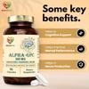 NutraLiebe Alpha-GPC 300 mg, 90 Vegetarian Capsules view 3