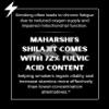 Maharshis Shilajit for Smokers - 25g | 100% Pure Shilajit | Boosts Energy and Stamina | Original Resin | Pack of 2 view 4