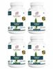 Dr. JPG Organic Karela Capsules For Diabetic & Sugar 60 Veg. Capsules | INDIA ORGANIC Certified (Pack Of 4) view 1