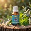 Sambridhhi Special Liquid Balm For Quick Relief of Cold | Headache | Blocked Nose| Insect Bite | Muscular Pain | Pack of 1 (15ml) view 2