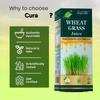 Cura Mahaveer Wheat Grass Juice, Natural Detoxifier, Herbal Juice for Immunity Boost, Blood Purification, Improved Digestion and Metabolism, 500ml (Pack of 2) view 4