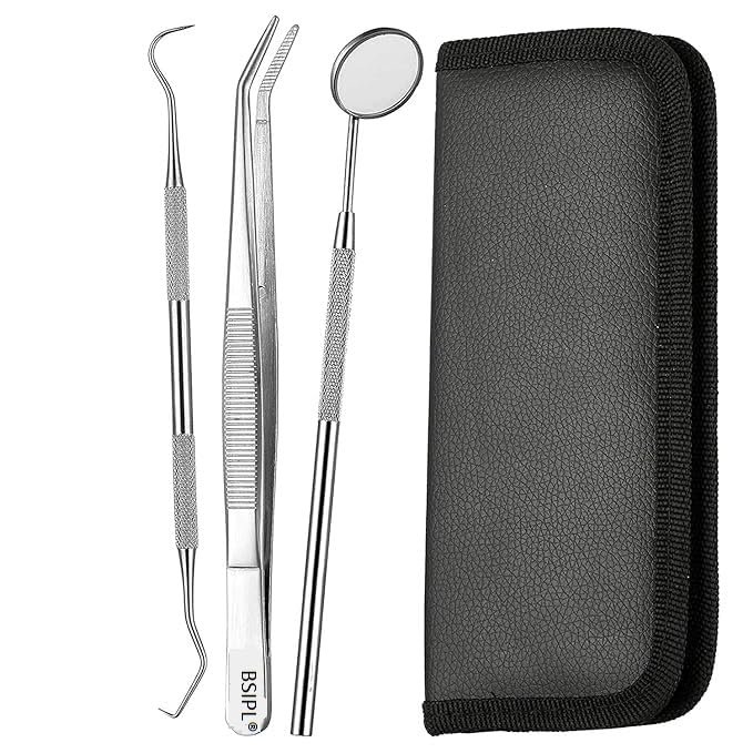 BSIPL 3 Pcs Pmt Set Hygiene Teeth Cleaning Tool Easy Flossing To Teeth 3pcs Dental Kit with Zipper Case for Safety & Storage Pack Of 1 Set