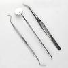 BSIPL 3 Pcs Pmt Set Hygiene Teeth Cleaning Tool Easy Flossing To Teeth 3pcs Dental Kit with Zipper Case for Safety & Storage Pack Of 1 Set view 2