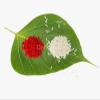 Anshri 1 * 24.P Rakhi Combo Bhai Bhabhi Rakhi Set, Rakhi for Brother Chocolate Gift Rakhi Set of 2Rakhi Combo Bhai Bhabhi Rakhi Set, Rakhi for Brother Chocolate Gift Rakhi Set of 2 view 4