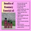 30 ML ROSEMARY ESSENTIAL OIL view 3