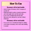 30 ML ROSEMARY ESSENTIAL OIL view 4