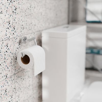 EcoPulp Export Quality 2-Ply Toilet Paper Roll Soft and Strong, 200 Pulls Unscented Toilet Roll Family Pack Of 120 Rolls