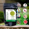 Wheat grass Matcha Green Tea Powder 50g | Culinary Grade | Direct Intake | Rich in Antioxidants | 15x More Benefits than Loose Green Tea Leaves or Green Tea Bags (Pack of 2) view 2