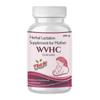 WVHC Protein Powder Nutritional Supplement for Pregnant & Lactating Women  Complete Maternal Nutrition during Pregnancy -400G view 1