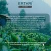 Erthri Haritaki Powder 400g | Pure Organic Harad Powder for Digestion, Skin and Hair | Inknut for Dark Circles | kadukkai powder for face view 4