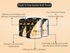Fresh N Fine Jumbo Roll Toweling Tissues 1 Ply Toweling, 250 mtr - Kitchen Tissue Paper Roll, Ultra-Absorbent & Tear-Resistant | Pack of 2. view 4