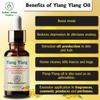 Aadhya Aroma Exports || Ylang Ylang Essential oil for Hair Growth,Strengthen Hair Roots,Controls Hair fall, Controls Acne ||Therapeutic Grade For Skin & Hair Care -Pure,Natural & Undiluted Premium Essential Oil (30ml)|| view 3