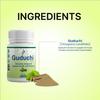 BVG Life Guduchi Tablets for General Health & Wellness |Strengthen the bodys natural defence system and maintain everyday vitality view 2