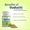 BVG Life Guduchi Tablets for General Health & Wellness |Strengthen the bodys natural defence system and maintain everyday vitality view 3
