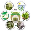 Matcha Green Tea Powder | Indian Matcha green tea powder |more benefits than loose green tea leaves or Green Tea Bags| Culinary Grade |Direct intake-easy to Prepare 50 g* 3 (PACK 3) view 3