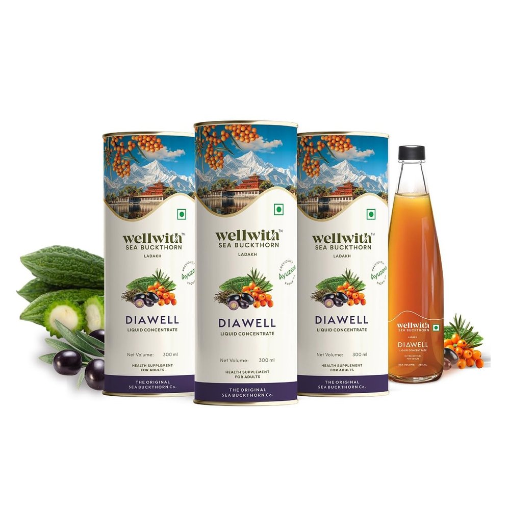 Wellwith by Ayuzera DiaboWin (Diawell) Karela & Jamun Diabetic Care Juice with Sea Buckthorn Berry 300ml | Chirata and Punarnava | Ayurvedic | Control Blood Sugar | Upto 50 Glass Juice (Pack of 3)