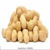 100% Natural Raw Groundnuts with Shell | Unprocessed & Fresh | High Protein, Gluten-Free & Vegan | Crunchy & Nutritious Snack 100 Grams view 3