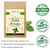Drontika Organic the Tulsi Original Tulsi Leaves Powder (100 Grams) (Pack of 1) | Holy Basil Powder For Health, Skin & Hair| Non GMO | No Added Preservative Ayurvedic & Herbal view 4