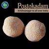 BANGLARMISTI Rosokodom | Famous Traditional Bengali Sweet, Soft & Delectable Posto Misti, Khuskhus Laddu (Poppy Seed Ladoo), Delivered Fresh from Kolkata, 10pcs Pack view 2