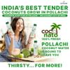 Creando Coconato 100% Tender Coconut water from Pollachi | Natural Tender Coconut Water I No Added Sugars or Artificial Flavors I Real Nariyal Paani For Daily Hydration (Pack of 12, 200ml Each) view 2