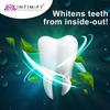 INTIMIFY Teeth Whitening Toothpaste, Teeth Whitening Foam, Remove Yellow Stains, Bad Breath for Adults & Kids 60ml view 2