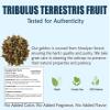 Tribulus Terrestris Powder - 100g Pack Of 1 view 3