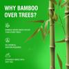 Beco Bamboo Facial Tissue Paper Box-Soft Pack | 200 pulls x 6 packs | Super Soft, Skin Friendly & Highly Absorbent Face Tissue Napkins | Car Tissues | 100% Natural & Ecofriendly | 2 ply-1200 Pulls view 4