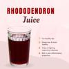 Buransh (Rhododendron) Squash, High Altitude Himalayan Squash Drink (1litre) (8) view 4