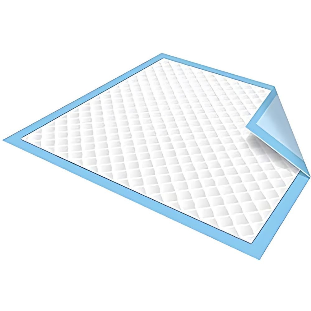 All Heavens Exim Disposable Underpads (60 X 45cm) Pack of 15 Pads | Unisex, High Absorbency, Super Soft, Leak Proof Underpads for Adults| Magic of 5 Layers