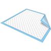 All Heavens Exim Disposable Underpads (60 X 45cm) Pack of 15 Pads | Unisex, High Absorbency, Super Soft, Leak Proof Underpads for Adults| Magic of 5 Layers view 1