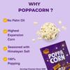 Poppacorn Hot 'N' Fresh Instant Cooker Salty Popcorn 35gX20 Pouches Natural Salty Popcorn 700gm Pack of 20 (Natural Salty) view 4