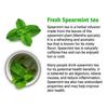 Asian Herbs Pure Spearmint Tea - Hair Care, Supporting Balance & Clarity | Natural Herbal Blend for Radiant Skin (30 Tea Bags) view 3