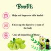Amla Juice-800ml | Pack of 2 | Each Pack 400ml| Natural Immunity Booster | No Added Sugar | Source of Vitamin C | Organic And Natural Amla Juice view 3
