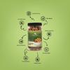 Desi Elaichi Chocolatey Jaggery Gud, Gur | Pure, Natural & Organic Sweetener | Gluten-Free Energy Booster | Nature's Candy | No Preservatives, No Chemicals (Desi Elaichi & Sonth Chocolatey Gud, Pack of 1) view 4
