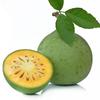 3V PRODUCTS Natural Belgiri Powder - Pack of 2x100g - Vilvam Fruit | Bael Phal Dry | Bealgiri Fruit | Aegle Marmelos 100% Organic for Diabetes | Cholesterol | Body Heat Reduce | Constipation view 3