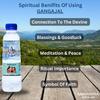 10 Litre Ramoudhya Gangajal - Purest Gangajal Water For Puja Sourced From Gangotri Valey Certified By The Govt. Of Uttrakhand Gangajal For Pooja Purpose 10000 ml view 4