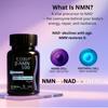 BVERGE NMN Supplement 500mg |100% Purity | BONTAC Pro NMN World's Most Trusted & Trusted by Experts | Healthy Ageing | Repair Cells | Enhance Muscle | Neuro Function (500MG 30 Capsules) view 2