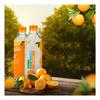 nutrineer Orange Flavoured Silver Ionized Water with Essential Minerals & Vitamins | Delicious & Healthy Refreshing Drink | Squeeze The Benefits Into Your Day | 750ml Each | Pack of 12 view 1