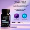 BVERGE NMN Supplement 1000mg |100% Purity | BONTAC Pro NMN World's Most Trusted & Trusted by Experts | Healthy Ageing | Repair Cells | Boost NAD+ | Enhance Muscle | Neuro Function (1000MG 60 Capsules) view 2