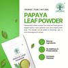 Organic Indus Papaya Leaf Powder | Pure Herbal Supplement for Digestion, Platelet Support & Blood Sugar Balance | Natural Dried Carica Papaya Leaves for Daily Wellness Use | 100gm (Pack of 1) view 3