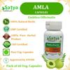 Satya Naturals Amla (Emblica Officinalis, Amalaki) Extract Capsules | 100% Herbal & High Potency | 500 mg. | Boost Immunity, Digestion & Vitality | Pack of 60 Veg. Capsules view 4